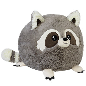 Squishable: Squishable Baby Raccoon