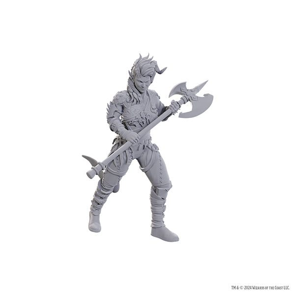 D&D Nolzur's Marvelous Miniatures: Special Edition Baldur's Gate 3- Wyll & Karlach