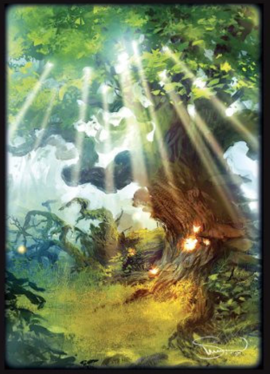 Legion Supplies: Sleeves - Lands - Forest (50ct)