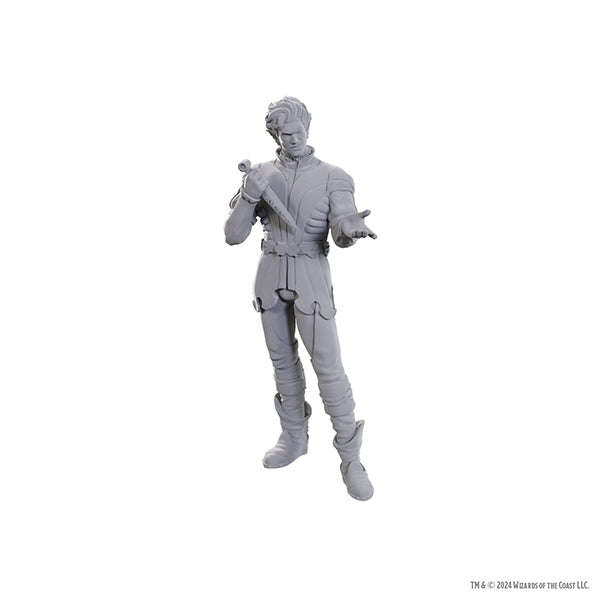 D&D Nolzur's Marvelous Miniatures: Special Edition Baldur's Gate 3- Gale & Astarion