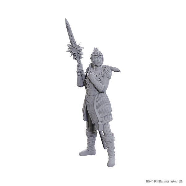 D&D Nolzur's Marvelous Miniatures: Special Edition Baldur's Gate 3- Lae'zel & Shadowheart