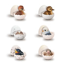 Tenori Baby Friends - Birds