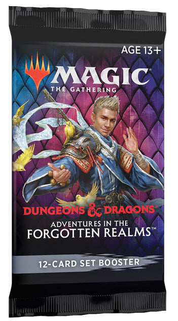 Dungeons & Dragons: Adventures in the Forgotten Realms - Hanging Set Booster Pack
