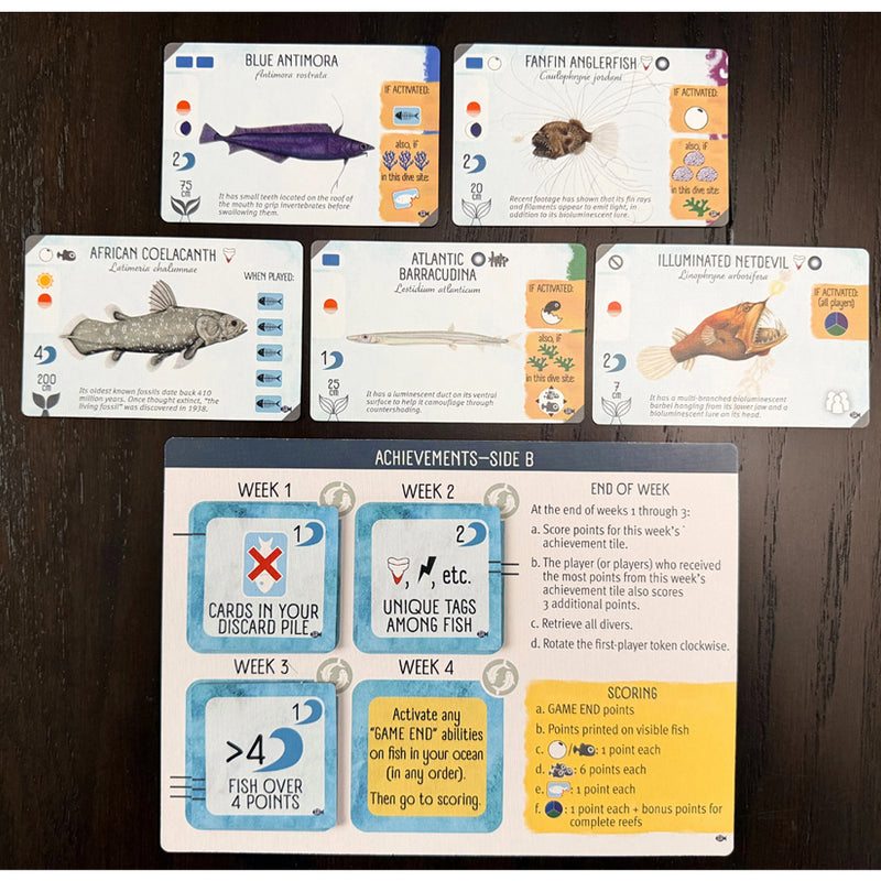 Finspan: Sharks and Reefs Expansion