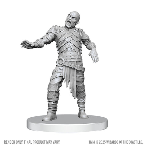 D&D Nolzur's Marvelous Miniatures: Swarm of Rot Grubs & Rot Grub Victim