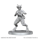 D&D Nolzur's Marvelous Miniatures: Satyr & Dryad